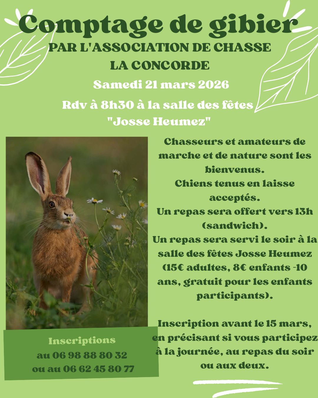 648145617 1257922986443697 1762378799636192938 n